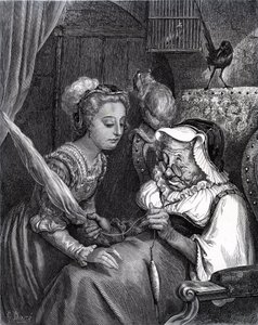 Doornroosje: Prinses en Fee Spite in toren